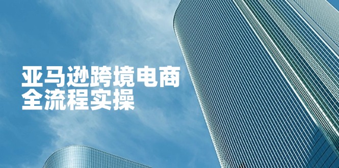 （14252期）亚马逊跨境电商全流程实操，教你从零开始，掌握店铺运营与广告技巧-火树AI资源