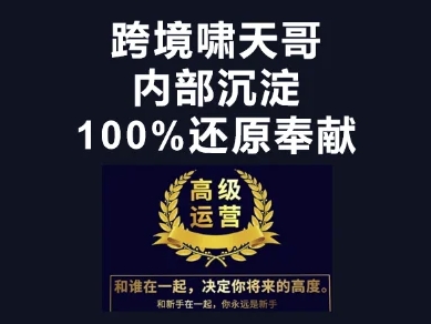 漫威跨境特训营-跨境电商教程-火树AI资源
