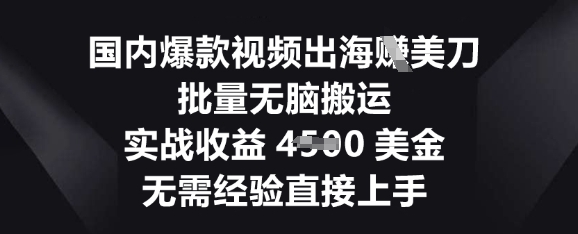 国内爆款视频出海挣美刀，批量无脑搬运，实战收益4.5k，无需经验直接上手-火树AI资源