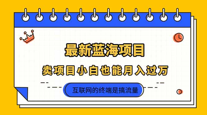 （14289期）2025年最新蓝海项目，卖项目小白也能月入过万-火树AI资源