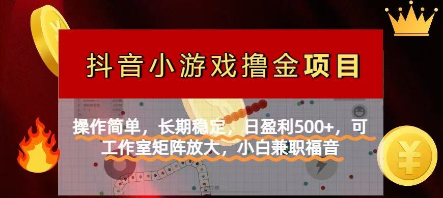 （14290期）【抖音小游戏发行人计划项目】操作简单，长期稳定，日盈利500+，可工作…-火树AI资源