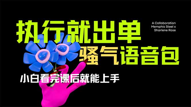 （14170期）爆火全网的开车导航骚气语音包,只要执行就出单，小白看完课程就能实操…-火树AI资源
