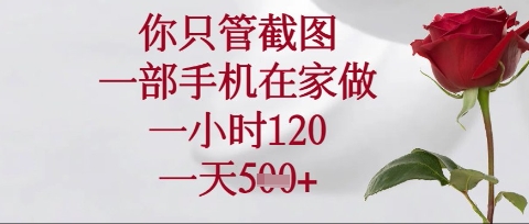 你只管截图,一部手机在家操作,一小时120.一天5张【揭秘】-火树AI资源